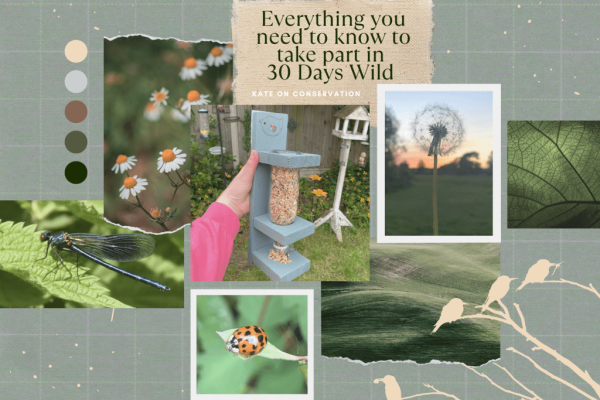 All of the issues that you could know to take part in 30 Days Wild