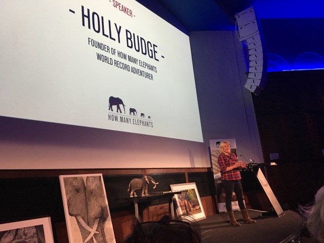 Holly Budge, Founder of How Many Elephants