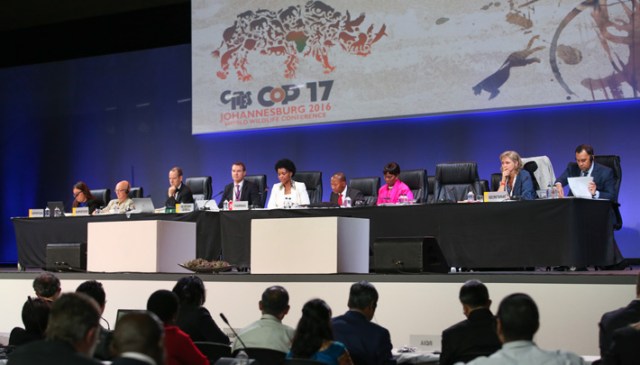 cites cop 2017