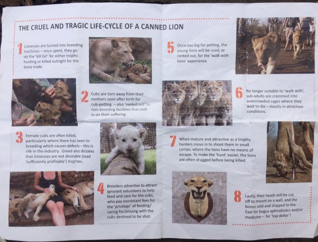 Literature handed out at the Global March for Lions