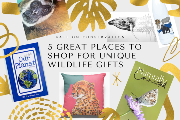 5 good areas to purchase distinctive wildlife presents