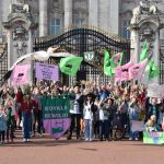 School strikers title on the Royals to rewild their land