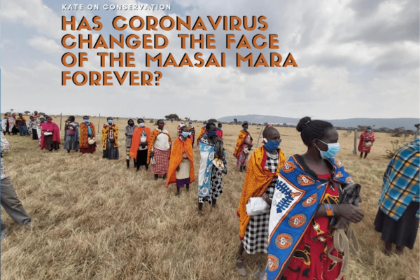 Has Coronavirus modified the face of the Maasai Mara eternally?